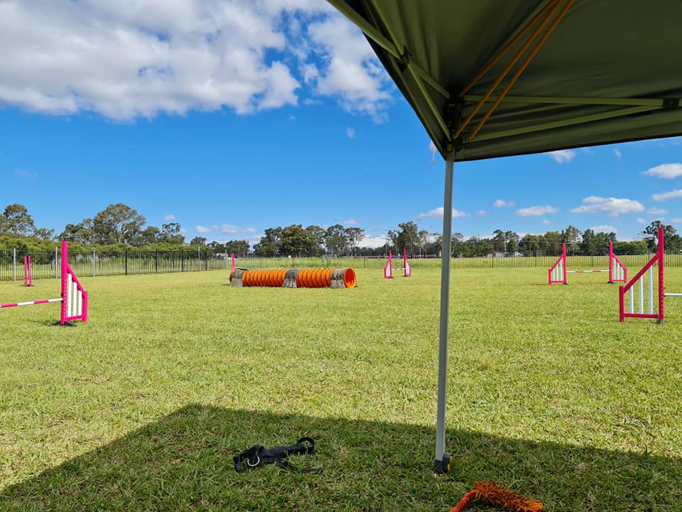 my dog agility centre field hire